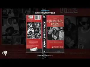 Xtravagant Vibez BY XVL Hendrix